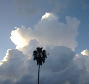 arriba del cielo arriba