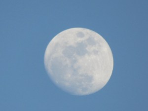 Luna blanca