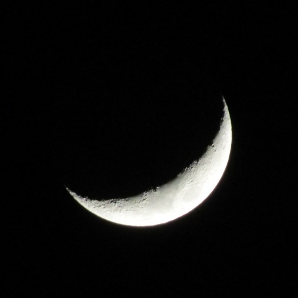 luna-semilla-de-marzo-17